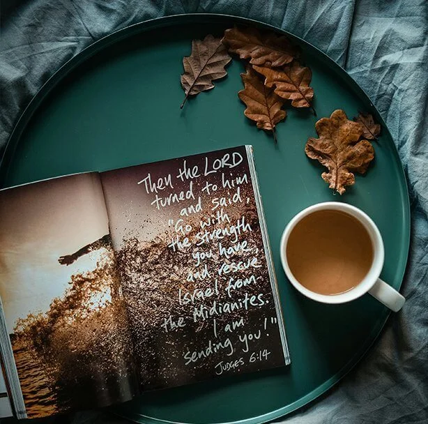 academic book editing services 